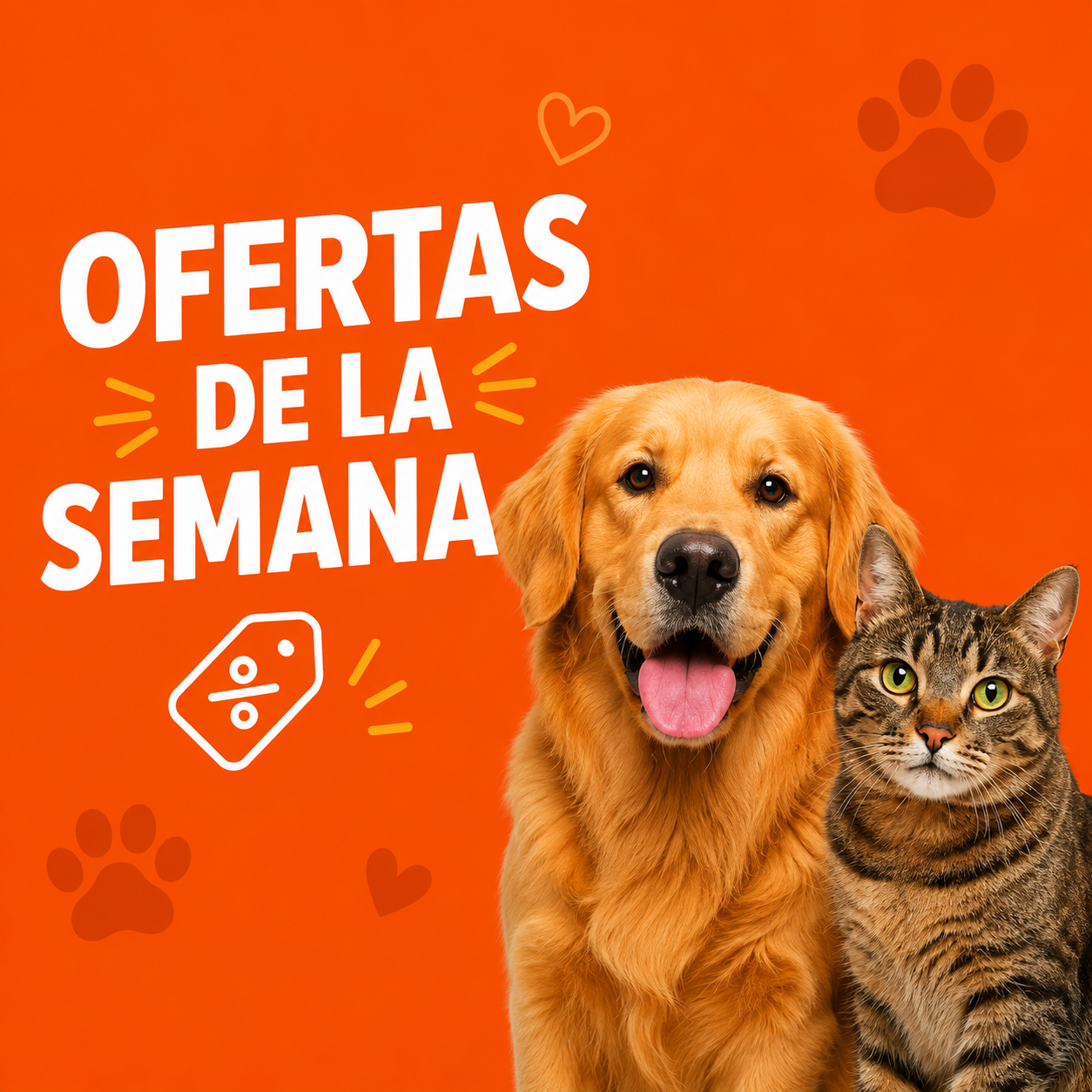 OFERTAS DE LA SEMANA